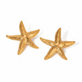Starfish earrings